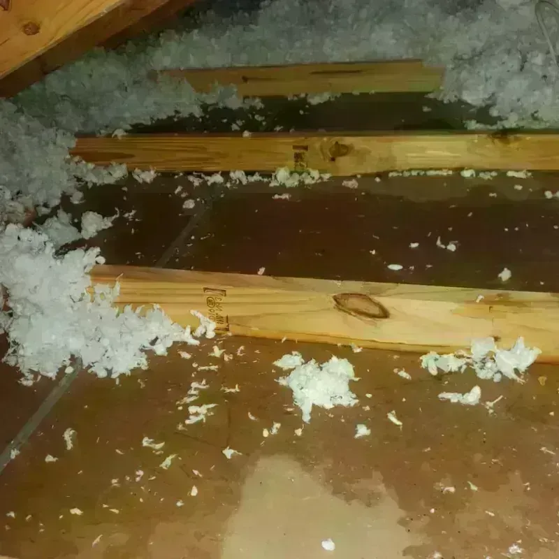 Attic Water Damage in Dover Beaches North, NJ