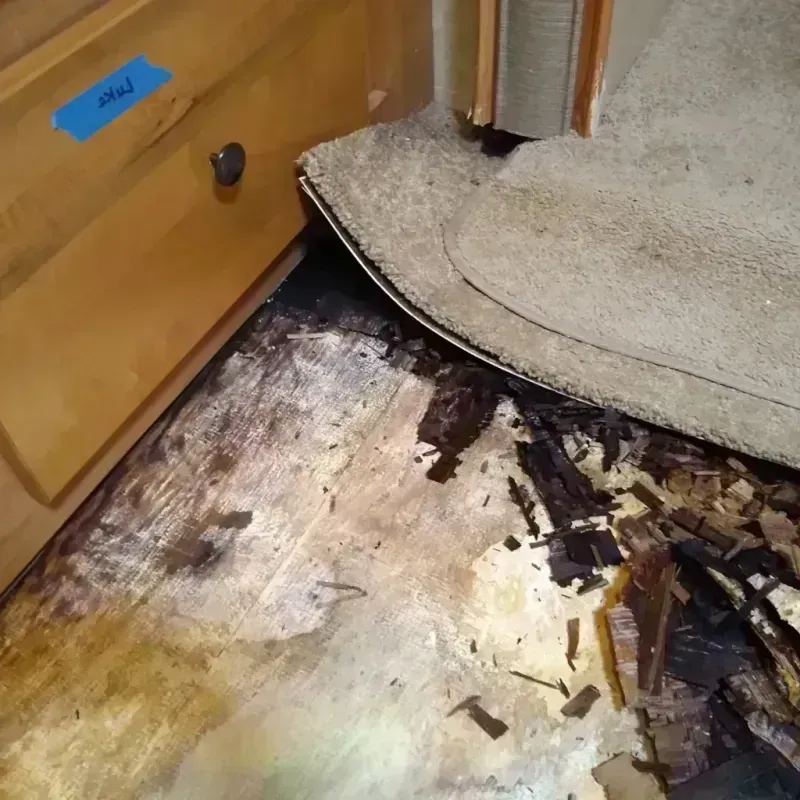 Wood Floor Water Damage in Dover Beaches North, NJ